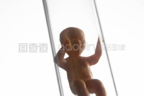 http://shaoxing.nbgk120.com/post/209.html|绍兴捐卵费用