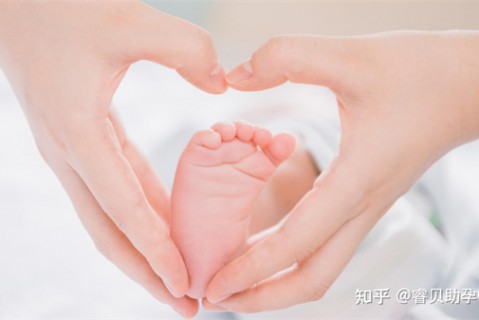 夏天绍兴捐卵宝宝发烧 莫要急