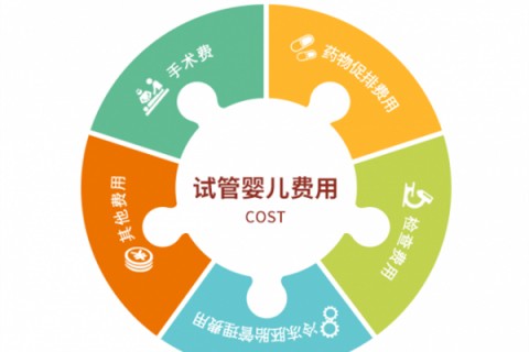 绍兴捐卵宝宝肚痛，父母该怎么办？